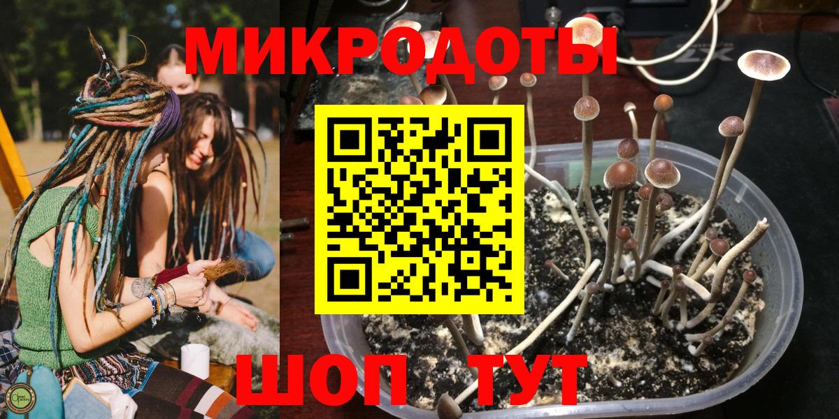 Галлюциногенные грибы мицелий  Псилоцибиновые грибы Psilocybe  Вход с VPN  Ессентуки 