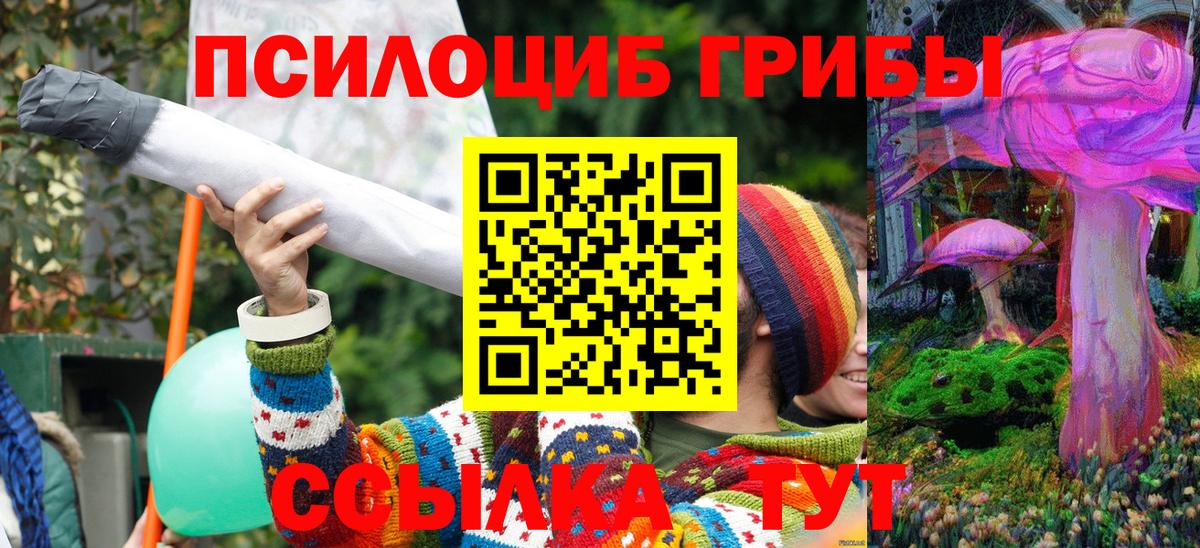Псилоцибиновые грибы MAGIC MUSHROOMS Ессентуки